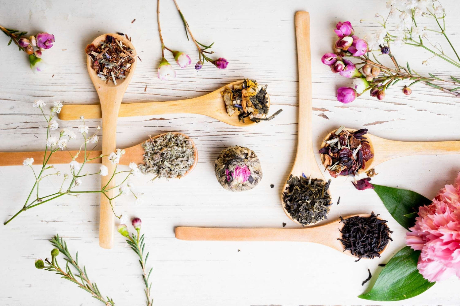 Raw Organic Tea Herbs GAIA Holistic Alternatives