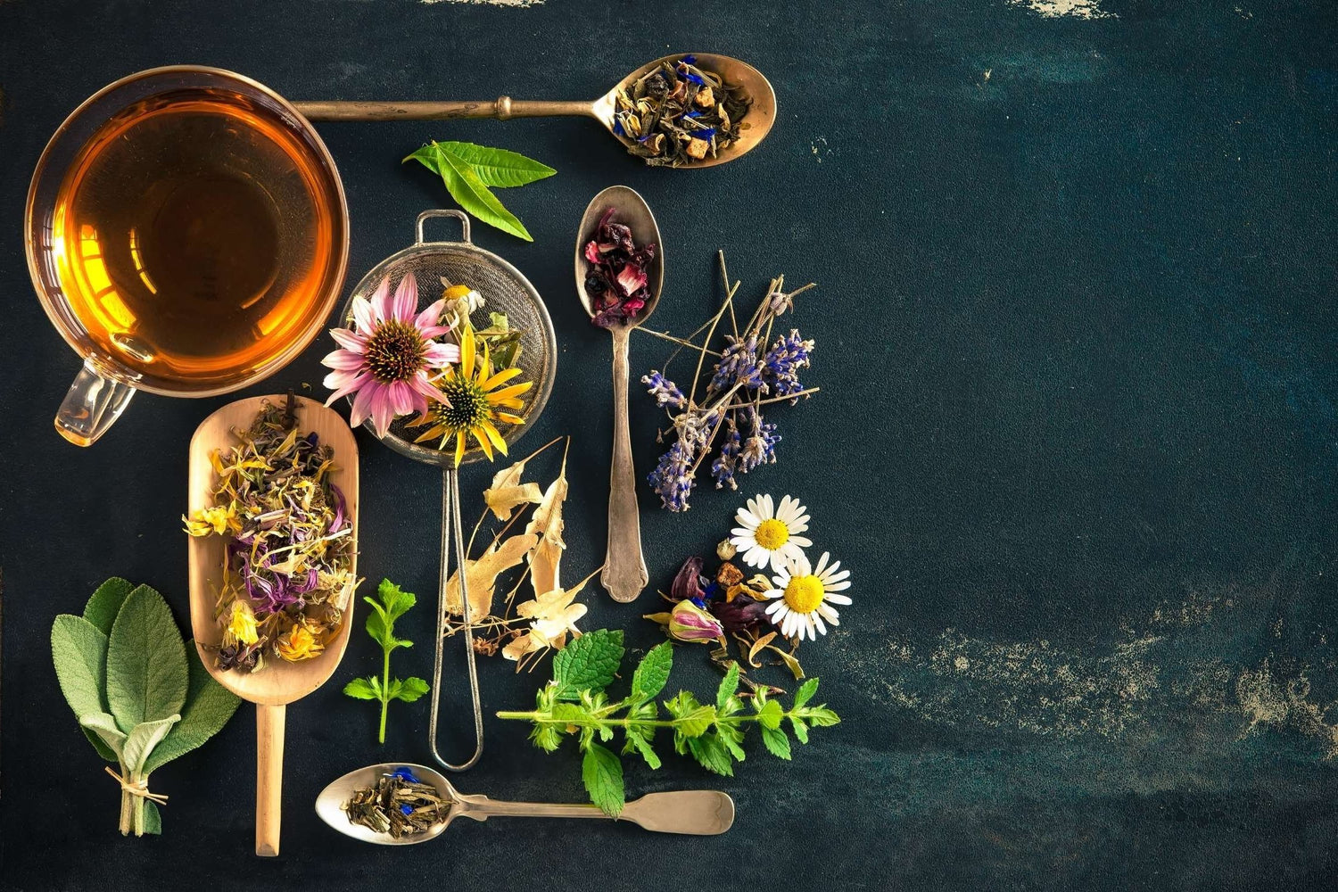 Fresh Raw Organic Tea Flowers GAIA Holistic Alternatives